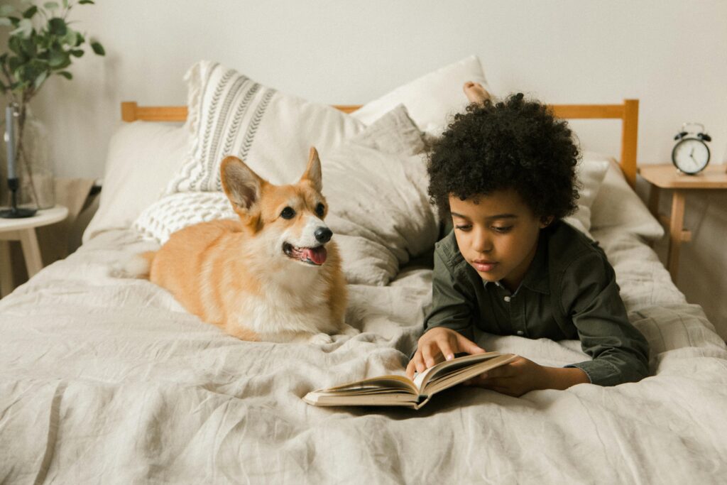 A young boy reads a book on a bed with a corgi dog, creating a cozy and serene indoor atmosphere.