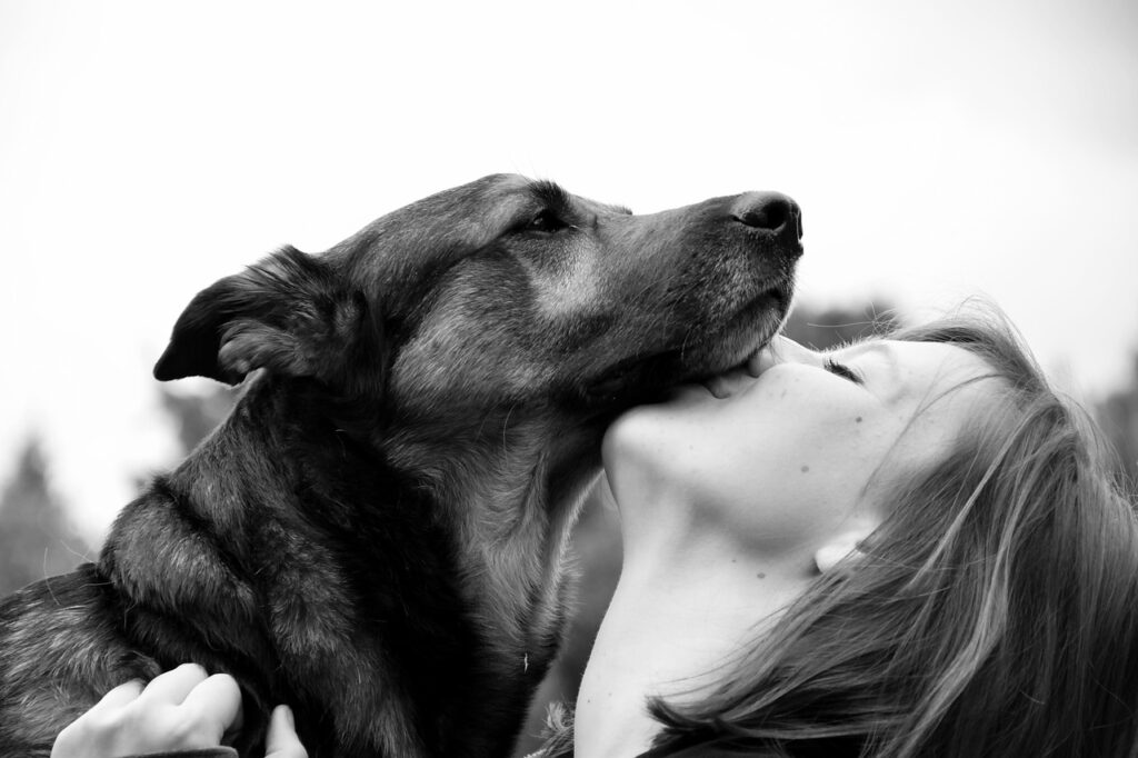 dog, human, connectedness, friendship, animal, shepherd dog, girl, kiss, pet, cuddle, love, nature, monochrome